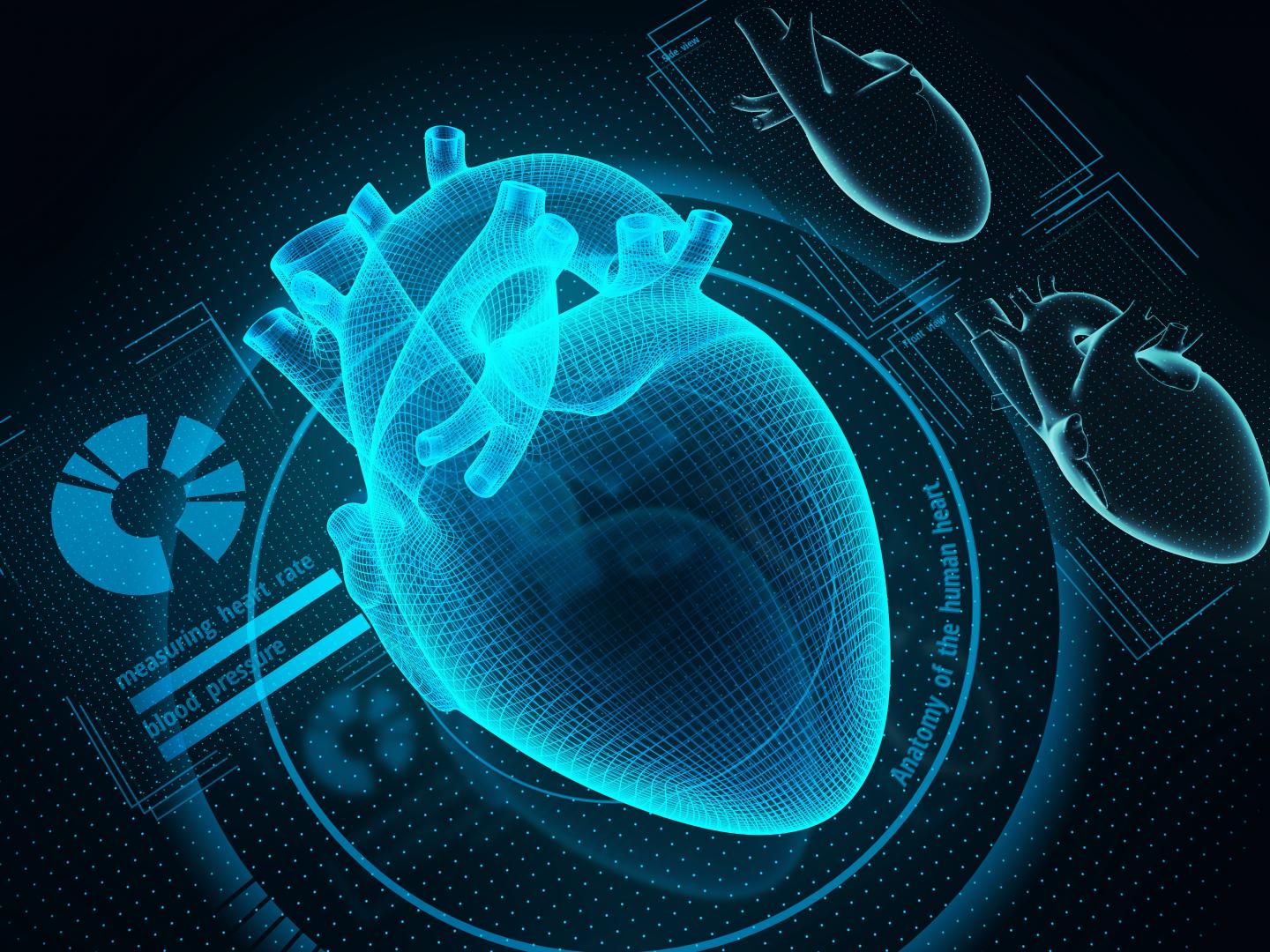 Pulmonary Arterial Hypertension