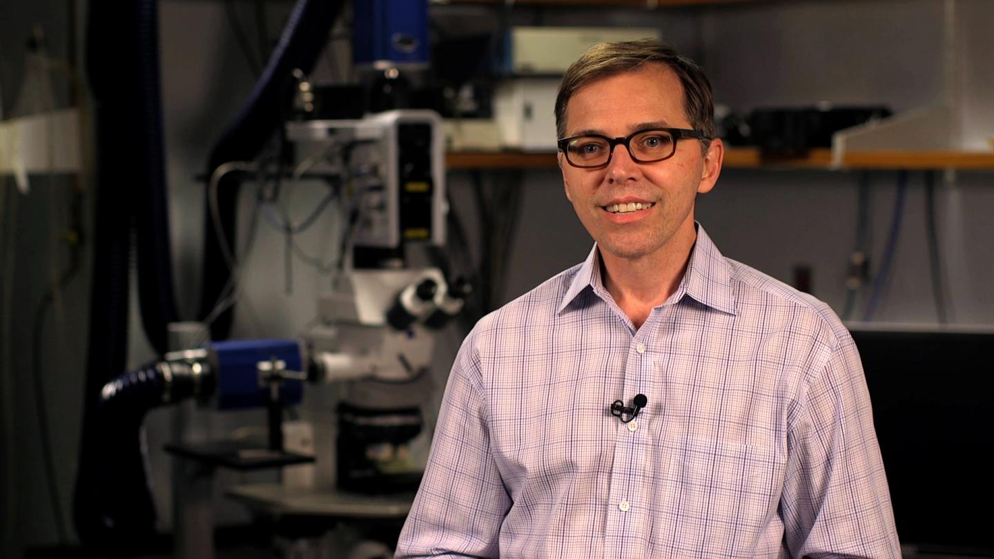 Dr. Paul Frenette, Albert Einstein College of Medicine