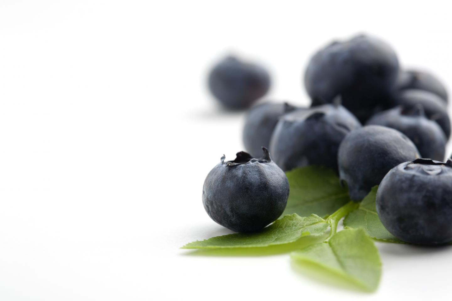 New Health Benefits Discovered in Berry Pigment