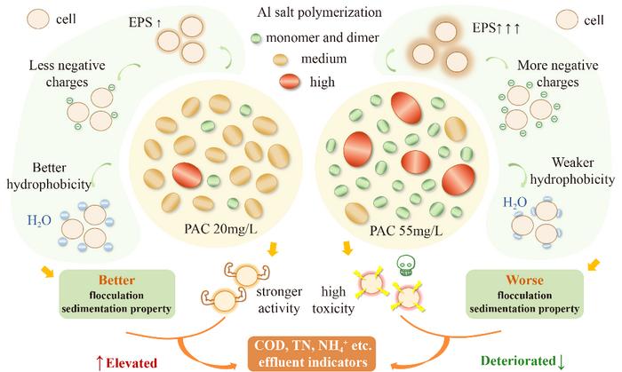 Graphical abstract