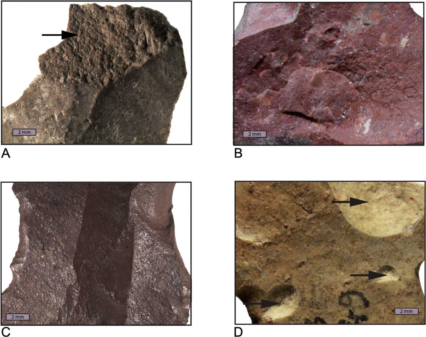 Extensive Heat Treatment in Middle Stone Age Silcrete Tool Production in South Africa