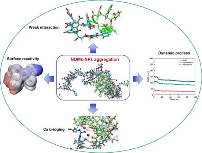 Mechanisms of Nanoplastics and Natural Organic Matter Aggregation.