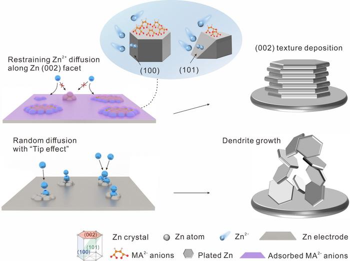 Novel Strategy Stabilizes Zinc-ion Batteries