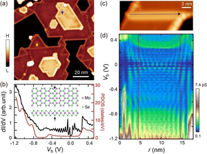 Topography and electronic structure of MoSe2 MTB.