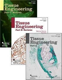 Tissue Engineering