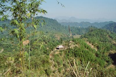Reforestation in Vietnam