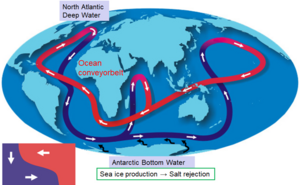 The cold, dense water formed around Antarctica sinks to the seabed, driving global ocean circulation