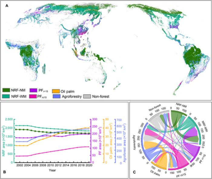 Spatial distribution, variations, and transitions of different forest management types from 2001 to 2020.