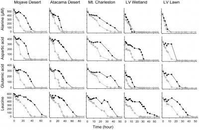 Microbial Consumption Dynamics of Racemic Amino Acids