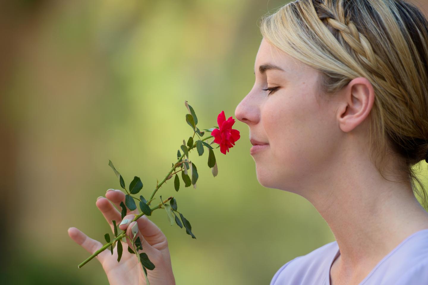 New Study by ASU Researcher Shows the Number of Smells Humans can Distinguish is Still Unknown