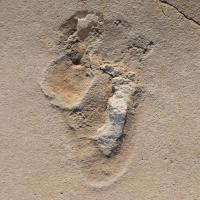 Trachilos Footprint