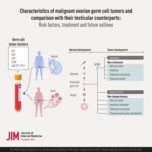 Characteristics of malignant ovarian germ cell tumours and comparison with their testicular counterparts