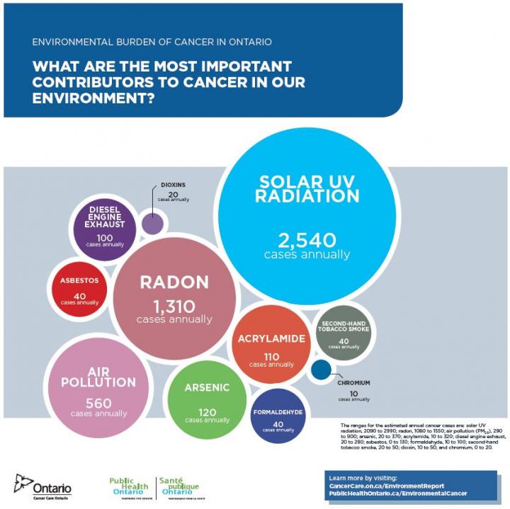 What Are the Most Important Contributors to Cancer in Our Environment?