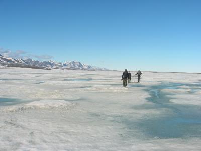 Sea Ice See-Saw in the Arctic (7 of 9)