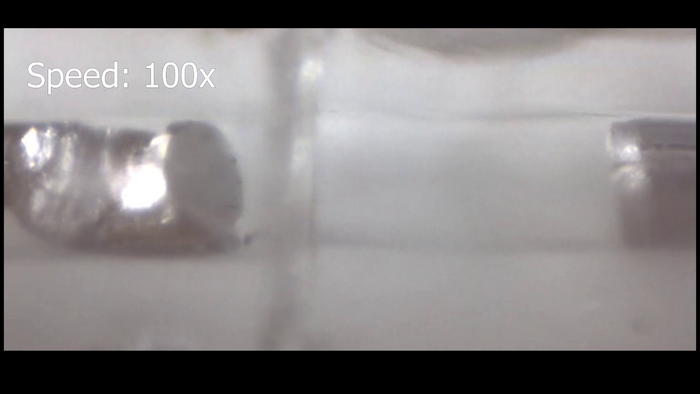 Sodium (NA) penetrating a layer of the separator