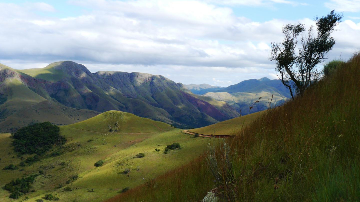 Southern Part of the Barberton Greenstone Belt, South Africa