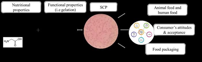 Properties and application of SCP