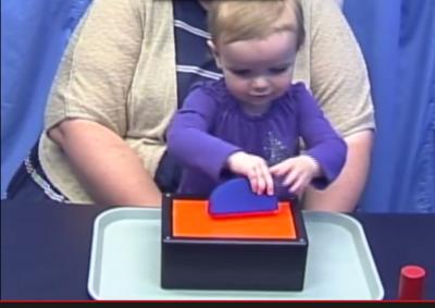Toddler Plays Probability Game