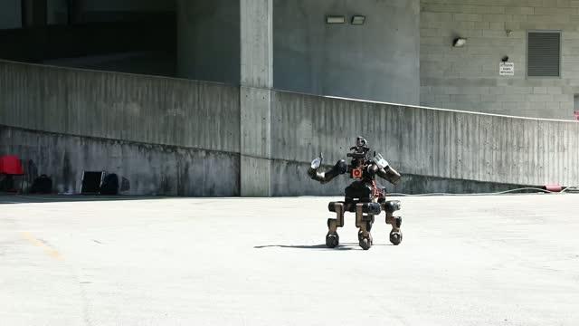 The Centauro Robot