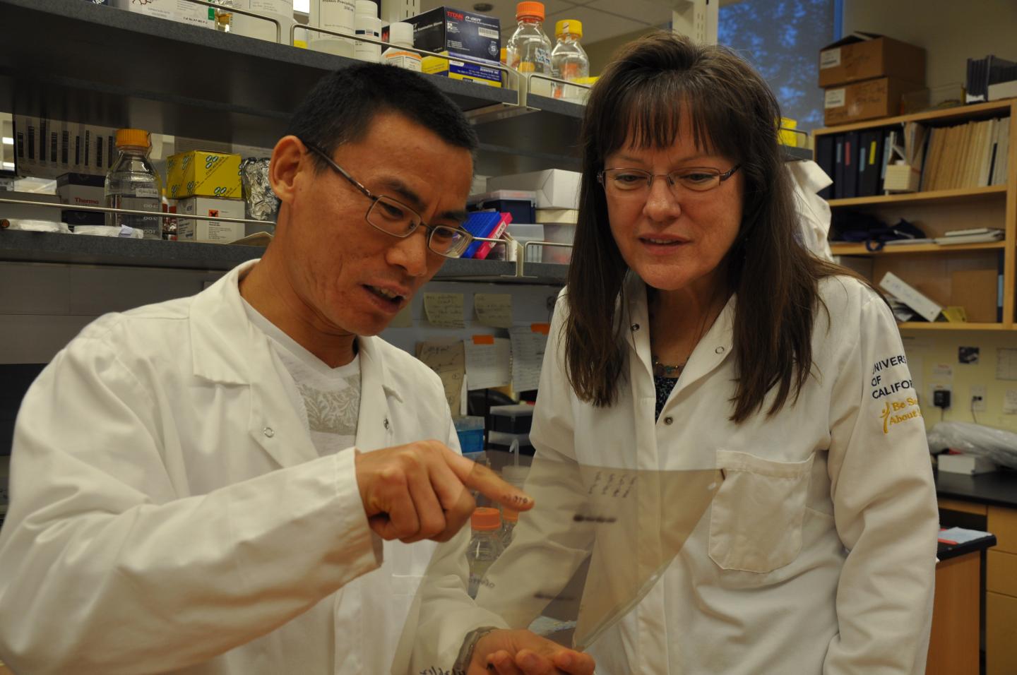 Shouqiang Ouyang and Katherine Borkovich