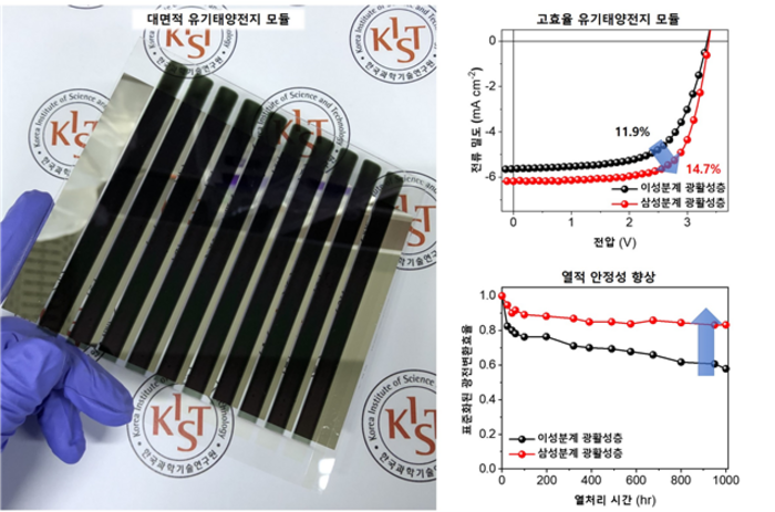 Development of large area, organic solar cell