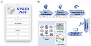 DPABINet: A Toolbox for Brain Network and Graph Theoretical Analyses