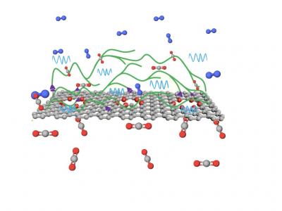 CO2-Selective Polymeric Chains Anchored on Graphene Effectively Pull CO2 from a Flue Gas Mixture