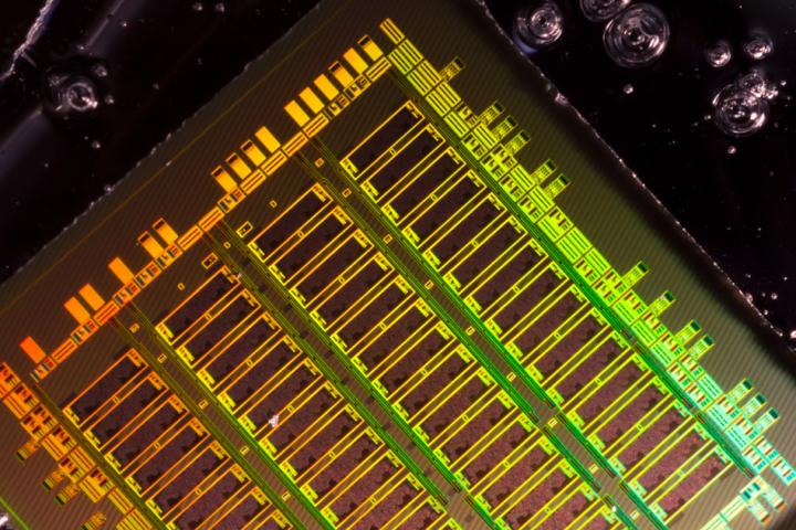 Optoelectronic Chip