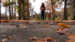 Virginia Tech and Arizona State researchers d - Vimarsana News