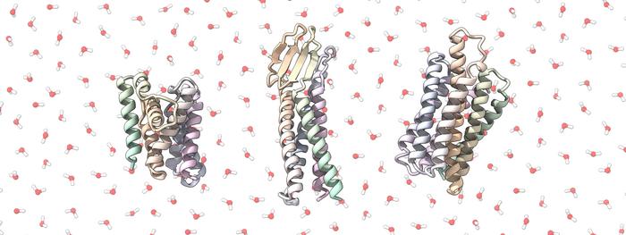 Rendering of some of the team’s soluble protein analogues © LPDI EPFL