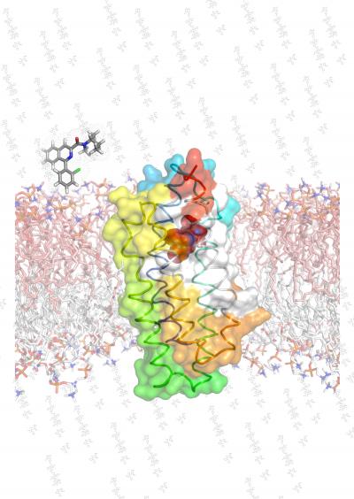 With a Little Help from a Ligand (1 of 2)