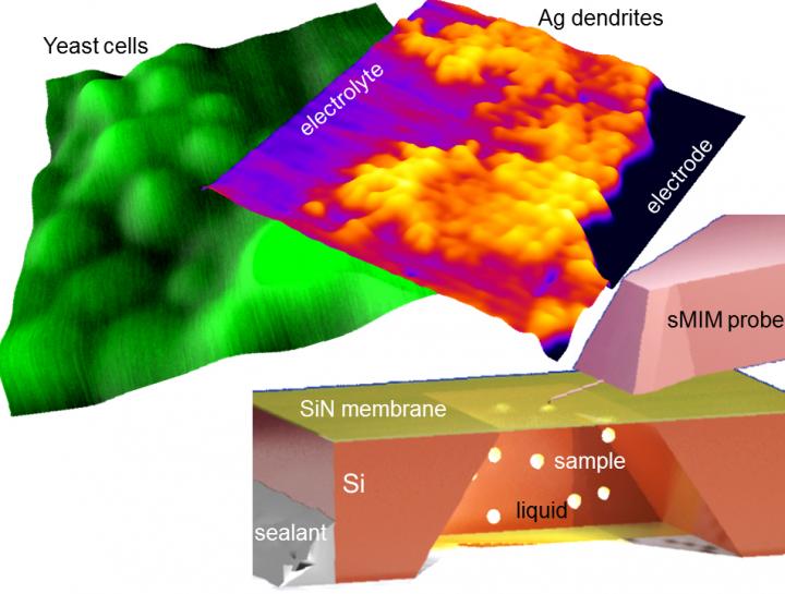 Microwaves Offer an Exceptional Nanoscale View