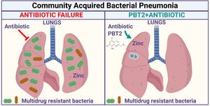 Cartoon schematic of antibiotic treatment with and without PBT2