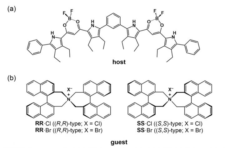Fig 1. (a) Fluorescent foldamer receptor (host) and (b) chiral ion pairs