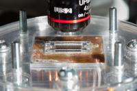 Nanoparticle Removal Chip Setup