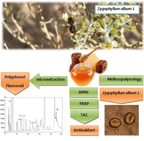 Characterization of Zygophyllum