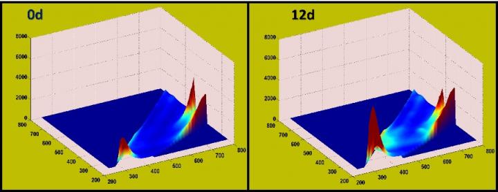 Non-Destructive Sensing Of Fish Freshness (1/3)
