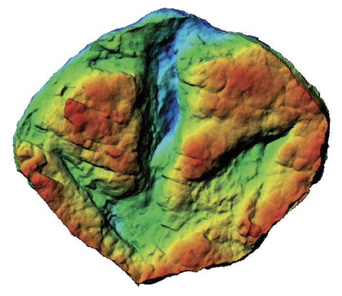 Theropod track