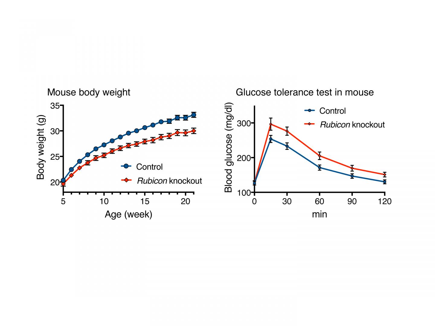 Deletion of <I>Rubicon</i> in Adipose Tissue Leads to Leanness and Glucose Intolerance