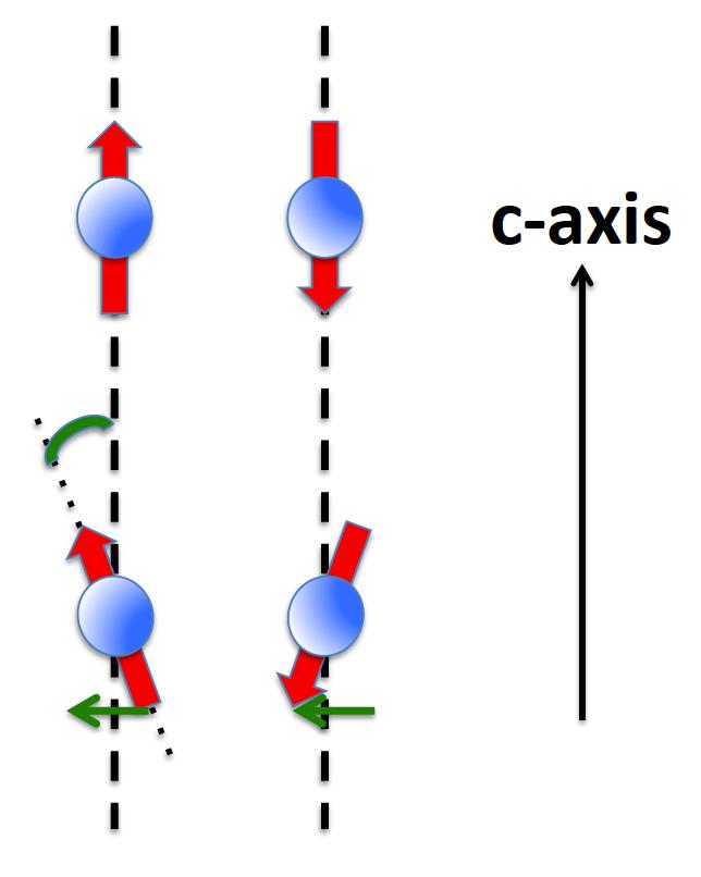 Antiferromagnetic and Canted-Antiferromagnetic Order