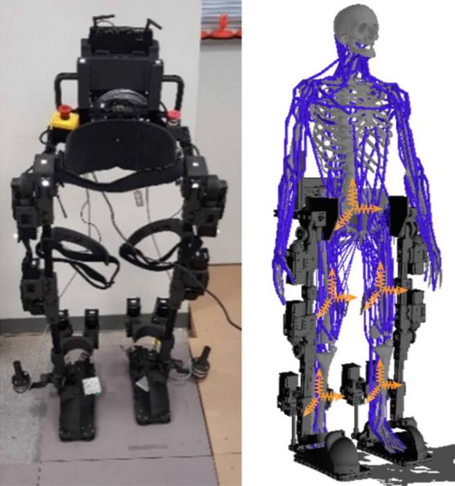 Prototype of lower limb exoskeleton and integrated model