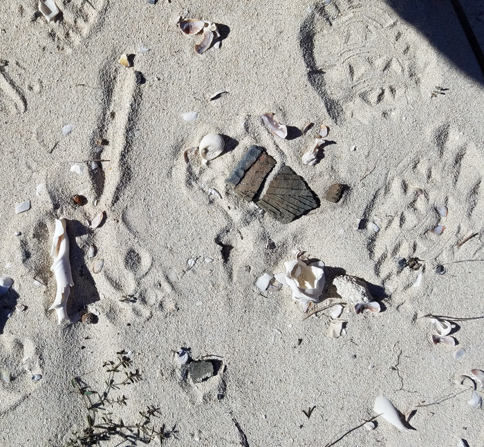 pottery in the sand