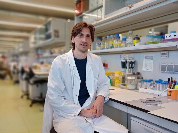 Dr. Daniel Alcolea, researcher at the Dementia Neurobiology Group at the Sant Pau Research Institute and head of the biomarkers platform at the Memory Unit of the same hospital.