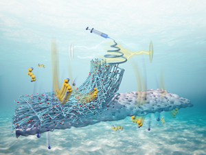 The bifunctional effect of grapevine-like high entropy oxide composites on lithium polysulfides