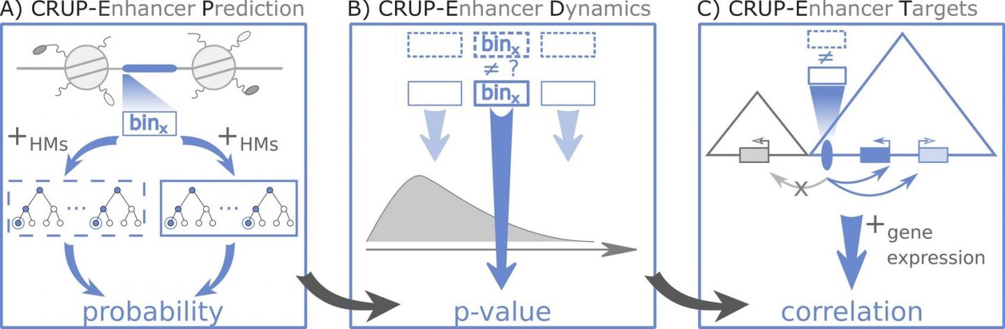 Enhancer Analysis with CRUP