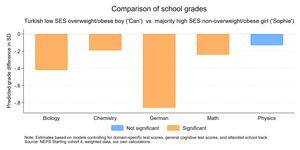 Does chubby can get lower grades than skinny Sophie? Using an intersectional approach to uncover grading bias in German secondary schools