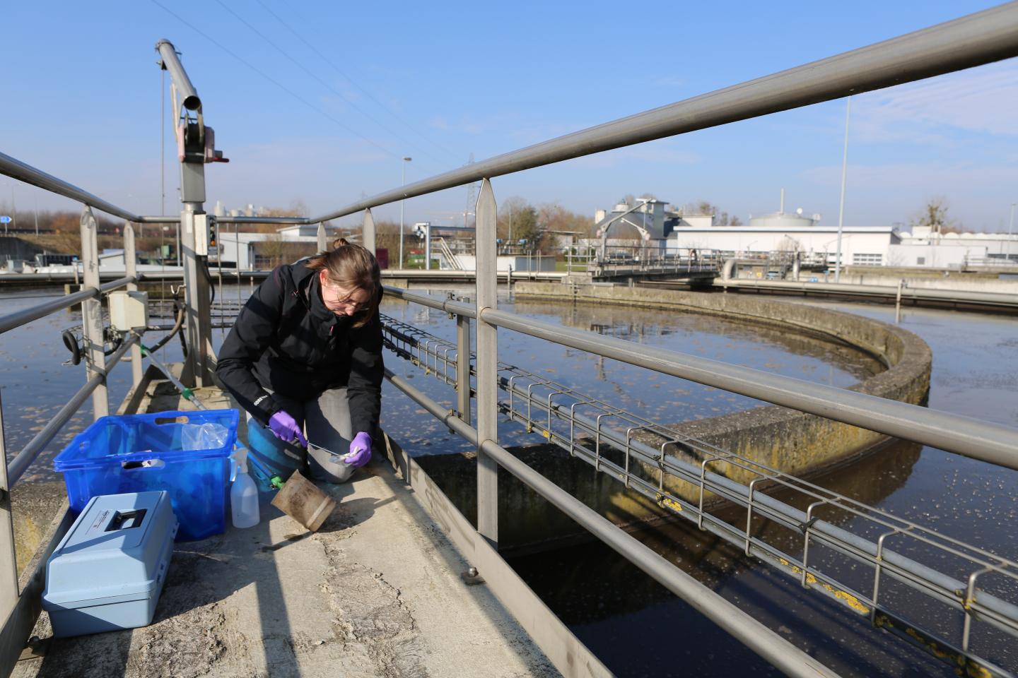 Microbial Ecosystems Research