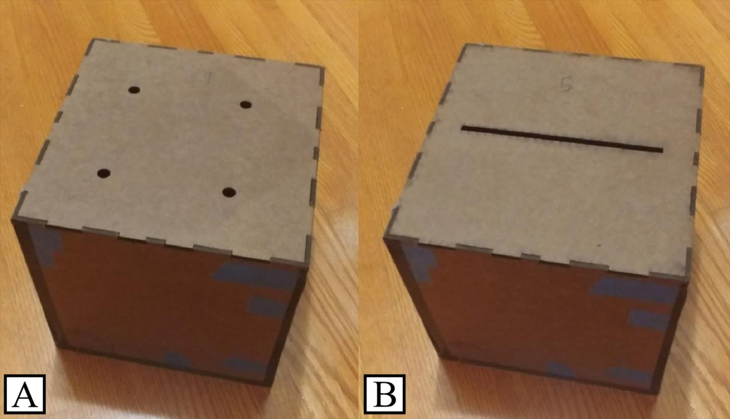 Brown Marmorated Stink Bug -- Opening-Passage Test Boxes