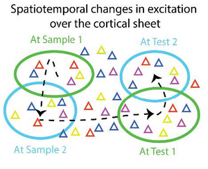 Spatial Computing Concept