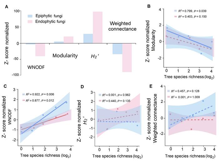 Figure 2  Relationship between structure of plant-epiphytic and endophytic fungus networks and tree species richness